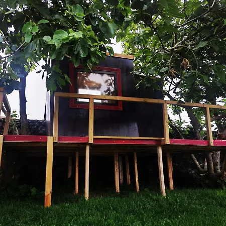 Dom wakacyjny Azores Cow House