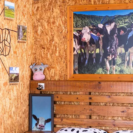 Azores Cow House Dom wakacyjny