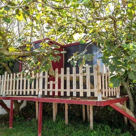 Azores Cow House Calhetas