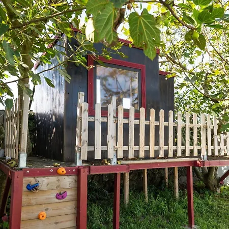 Dom wakacyjny Azores Cow House