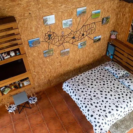 Dom wakacyjny Azores Cow House