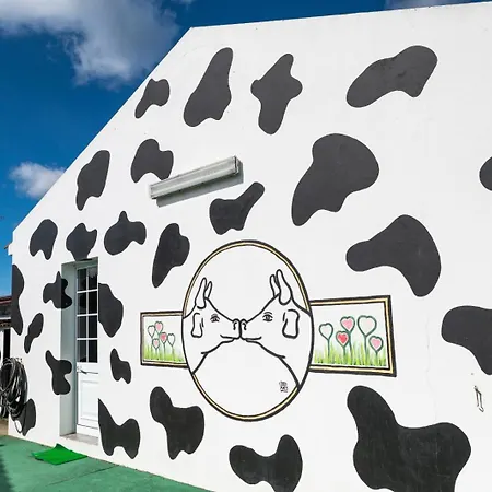 Azores Cow House Calhetas