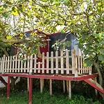 Azores Cow House Calhetas