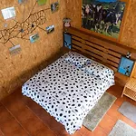 Azores Cow House Calhetas