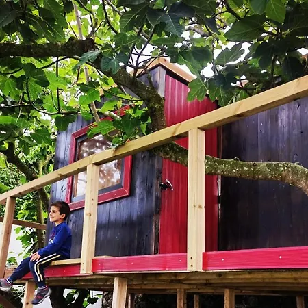 Nyaraló Azores Cow House *